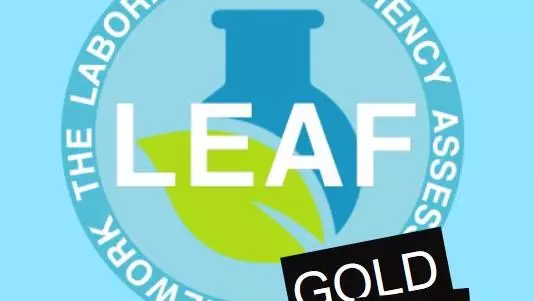 leaf gold