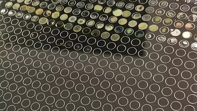Image of a MALDI plate