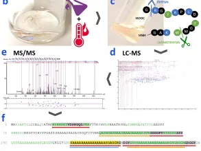 Workflow for sample preparation, sample analysis, data processing and species interpretation of Palmyra silks samples.