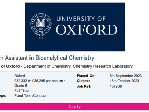 Image of a job advert for a Research Assistant in Bioanalytical Chemistry